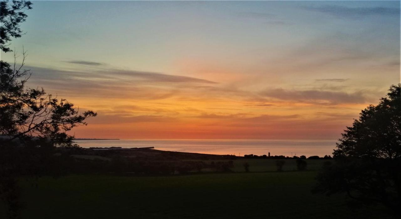 Moneylands Farm B&B Arklow Esterno foto