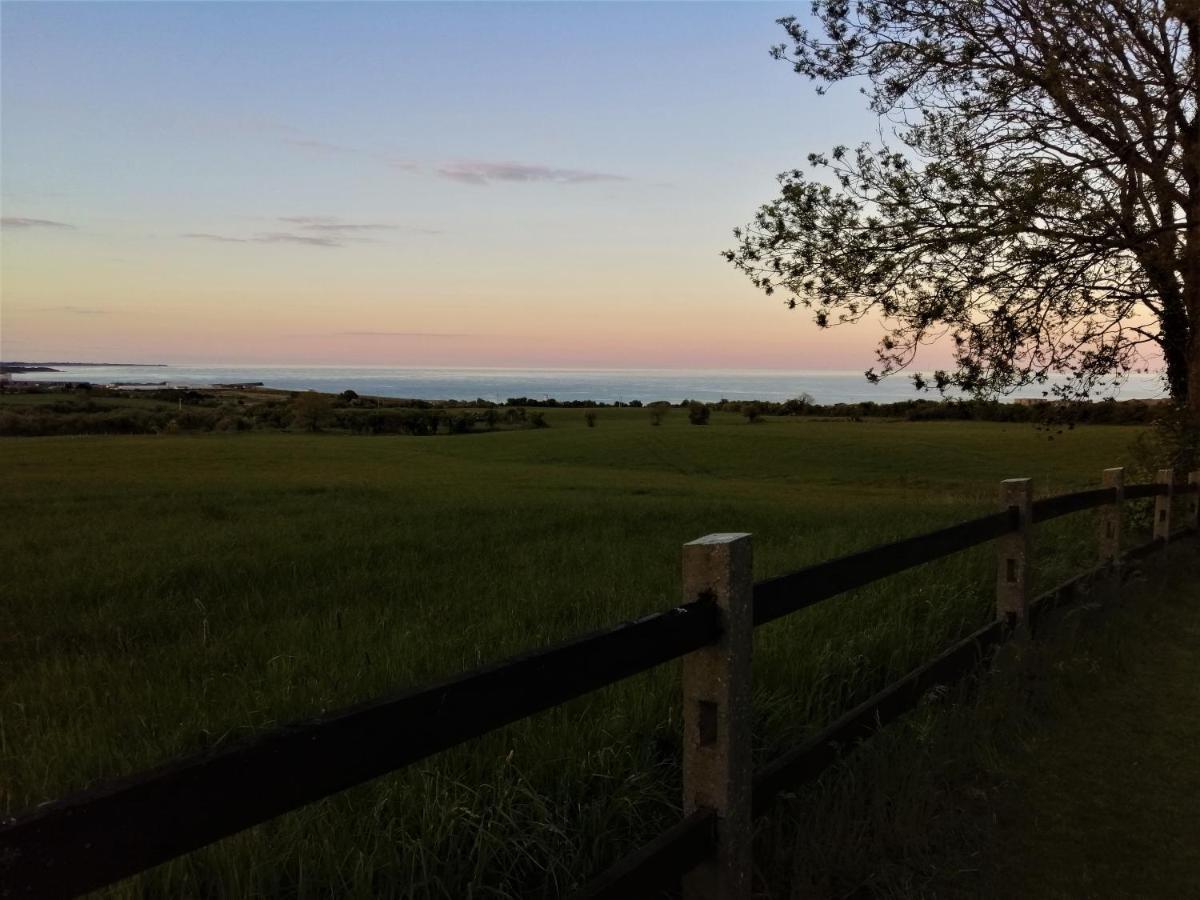Moneylands Farm B&B Arklow Esterno foto