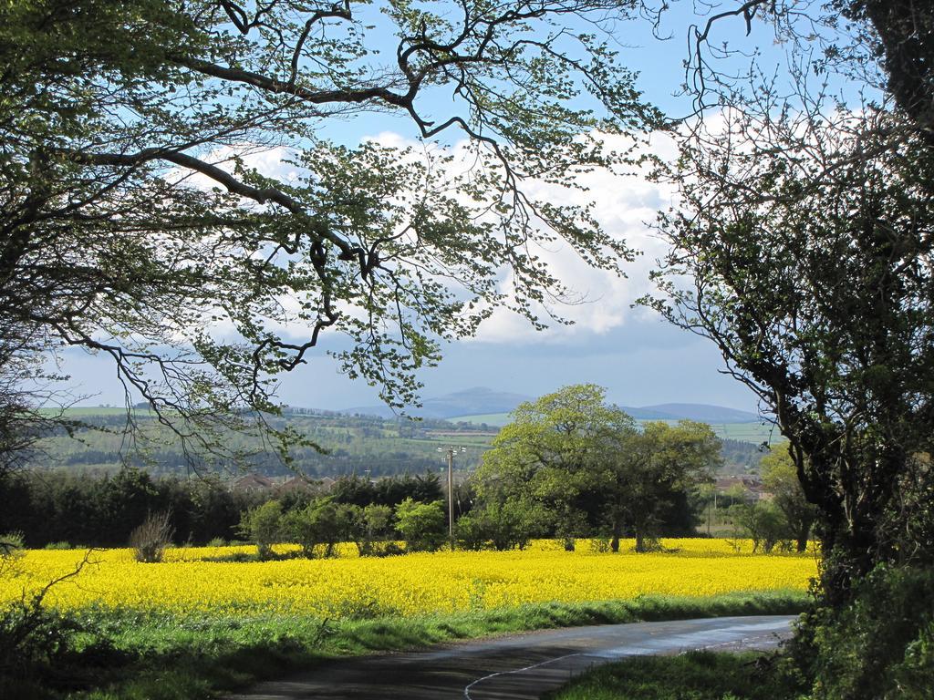 Moneylands Farm B&B Arklow Esterno foto