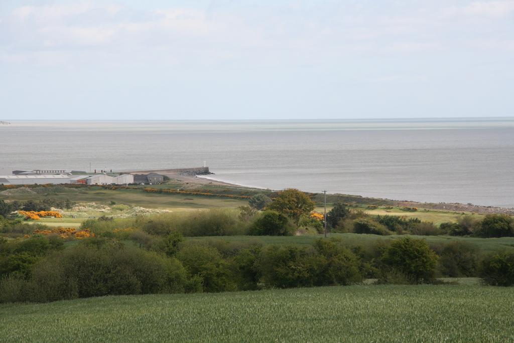 Moneylands Farm B&B Arklow Esterno foto